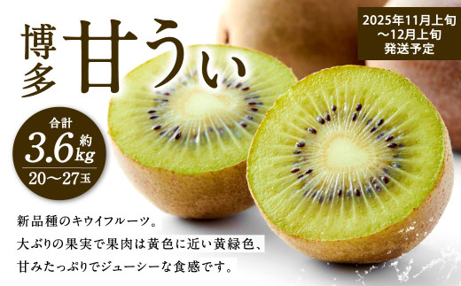 福岡県産 博多甘うぃ 約3.6kg(20玉〜27玉入り)【2025年11月上旬〜12月上旬発送予定】キウイ キウイフルーツ フルーツ 果物 くだもの 先行予約福岡県北九州市15000果物・フルーツその他 果物・