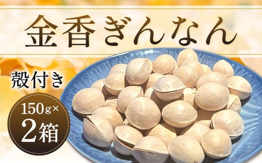 金香ぎんなん(殻付き)150g×2箱 合計300g 銀杏 ぎんなん 実 おつまみ おやつ福岡県北九州市17000野菜・きのこその他 野菜