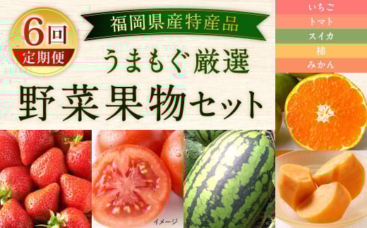 yY Yi N6ցz܂I ؉ʕZbg   ʕ lߍ킹kBs109000ʕEt[c