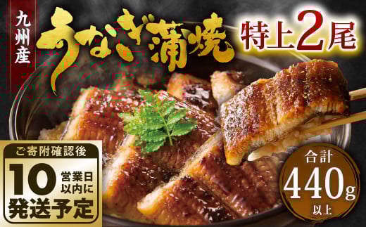 九州産 うなぎ 蒲焼 特上 2尾 計440g以上 (1尾あたり220〜235g)【順次発送】福岡県北九州市17000魚介・海産物うなぎ