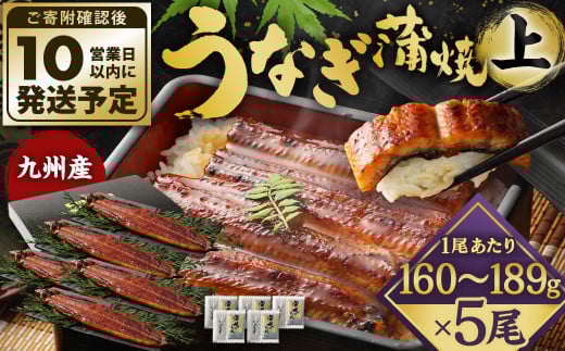 九州産 うなぎ 蒲焼 上 5尾 (1尾あたり160〜189g)【順次発送】福岡県北九州市29000魚介・海産物うなぎ