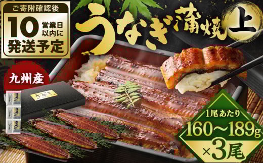 九州産 うなぎ 蒲焼 上 3尾 (1尾あたり160〜189g)【順次発送】福岡県北九州市20000魚介・海産物うなぎ