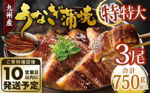 九州産 うなぎ蒲焼 特特大3尾 (1尾あたり250〜266g) 合計750g以上【順次発送】福岡県北九州市24000魚介・海産物うなぎ