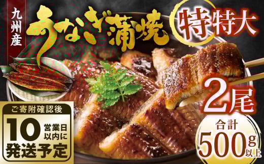 九州産 うなぎ蒲焼 特特大2尾 (1尾あたり250〜266g) 合計500g以上【順次発送】福岡県北九州市18000魚介・海産物うなぎ