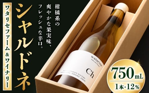 ^Zt@[Ci[ Vhl 750ml 1{ 12 C C h   AR[kBs16000EAR[C