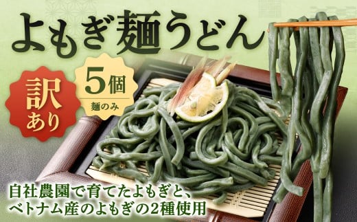 【 訳あり 】 よもぎ麺うどん 200g×5セット 合計1kg うどん よもぎ麺 うどん麺 麺 麺類 よもぎうどん よもぎ 冷凍 福岡県 北九州市福岡県北九州市11000麺うどん