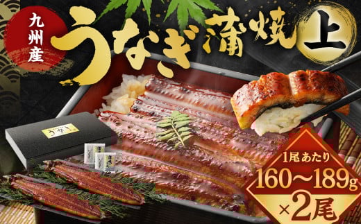 九州産 うなぎ 蒲焼 上 2尾 (1尾あたり160〜189g)【2025年12月発送】福岡県北九州市15000魚介・海産物うなぎ
