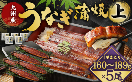 九州産 うなぎ 蒲焼 上 5尾 (1尾あたり160〜189g)【2026年1月発送】福岡県北九州市29000魚介・海産物うなぎ