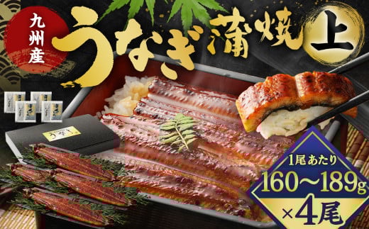 九州産 うなぎ 蒲焼 上 4尾 (1尾あたり160〜189g)【2026年1月発送】福岡県北九州市25000魚介・海産物うなぎ