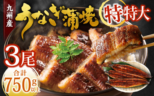 九州産 うなぎ蒲焼 特特大3尾 (1尾あたり250〜266g) 合計750g以上【2026年1月発送】福岡県北九州市24000魚介・海産物うなぎ