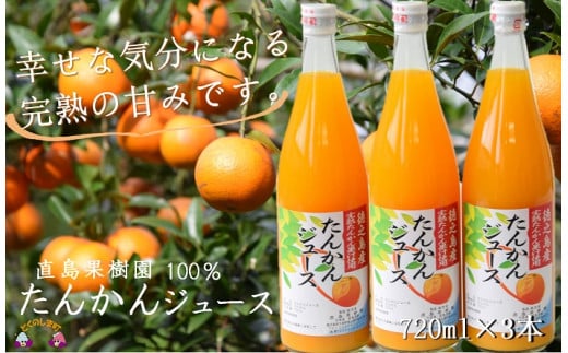 181【2025年収穫!】完熟の幸せな甘み!徳之島たんかんジュース(3本)( フルーツ ジュース 果汁 果物 柑橘 徳之島 鹿児島 濃厚 贅沢 太陽 恵み 健康 美味しい 直島果樹園 )鹿児島県徳之島町20