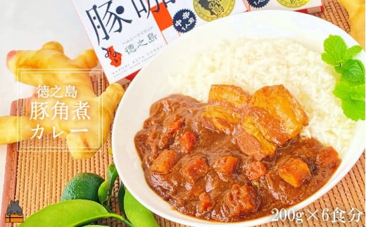 125〜島豚の角煮が“ごろっ”〜徳之島豚角煮カレー(中辛)200g×6食 ( カレー カリー レトルトカレー ご当地カレー 豚肉 徳之島 奄美 鹿児島 スパイシー 美農里館 )鹿児島県徳之島町15000鍋セ