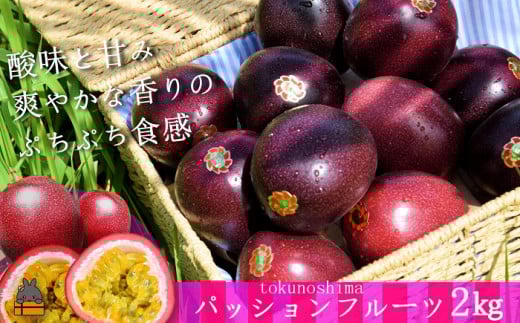4 《2026年6月〜7月配送!》太陽が育てた徳之島産パッションフルーツ(2kg) ( 果物 パッション フルーツ 酸味 甘み プチプチ 徳之島 奄美 鹿児島 美味しい 旬 南の島 世界自然遺産 果樹 島 )鹿