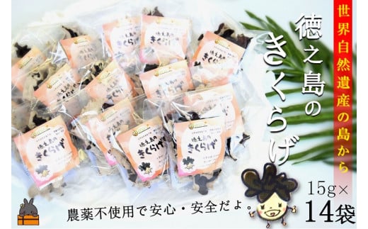 945《12月より発送》〜コリコリ食感がたまらない〜徳之島産乾燥きくらげ(15g×14袋) ( きのこ 健康 国産 安心 安全 和食 中華料理 こりこり 料理 天然水 中華丼 汁物 具材 朝食 昼食 夕食 )鹿