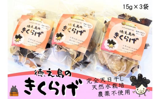 1309 《12月より配送》天然水使用・完全天日干し徳之島産きくらげ(3袋)( きのこ 健康 国産 安心 安全 和食 中華料理 こりこり 料理 天然水 中華丼 汁物 具材 朝食 昼食 夕食 )鹿児島県徳之島