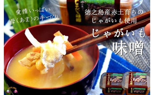 1392〜赤土育ちのじゃがいも使用〜徳之島のじゃがいも味噌(無添加)  ( 味噌 みそ 調味料 じゃがいも 野菜 伝統 徳之島 奄美 鹿児島 郷土料理 美味しい )鹿児島県徳之島町7500調味料・油味噌