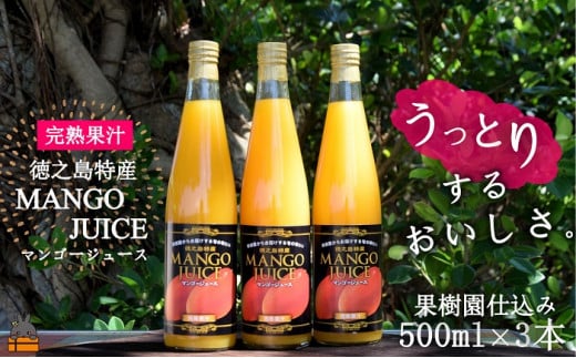 1827〜うっとりするおいしさ〜徳之島のマンゴージュース(3本)( 完熟マンゴー ジュース ドリンク フルーツ 果物 果汁 美味しい ビタミン スイーツ 南の島 奄美 鹿児島 )鹿児島県徳之島町