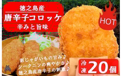 2173 【2026年4月以降配送】《マツコの知らない世界で紹介》徳之島のホクホク新じゃが+唐辛子!徳之島の唐辛子コロッケ(20個)( じゃがいも 新じゃが 唐辛子 ヤマシークニン おかず お弁