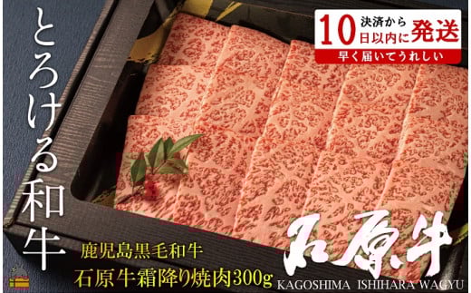 2247 世界が絶賛した“とろける和牛”幻の石原牛 霜降り焼肉300g ( 鹿児島黒毛和牛 ブランド牛 牛肉 ビーフ こだわり プレミアム オメガ3脂肪酸 贈答 ギフト 徳之島 奄美 鹿児島 美味しい 霜