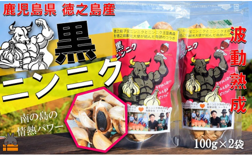 2333 こだわりの波動熟成! 鹿児島県徳之島産黒ニンニク(100g×2袋)   ( にんにく ニンニク 熟成 GABA ポリフェノール Sアリルシスティン 健康食品 元気 長寿 徳之島 奄美 鹿児島 世界自然遺産