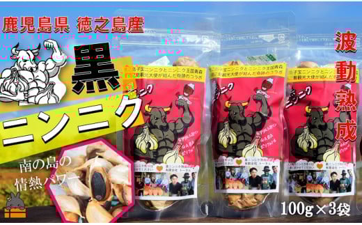 2334 こだわりの波動熟成! 鹿児島県徳之島産黒ニンニク(100g×3袋)   ( にんにく ニンニク 熟成 GABA ポリフェノール Sアリルシスティン 健康食品 元気 長寿 徳之島 奄美 鹿児島 世界自然遺産
