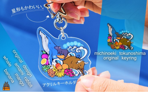 2345 道の駅とくのしまオリジナルキーホルダー(アクリル×星形)  ( キーホルダー アクリルキーホルダー キーリング 道の駅 道の駅とくのしま オリジナル 小物 アイテム 徳之島 奄美 鹿児島