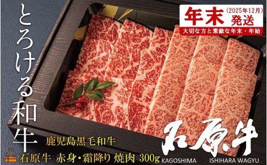 2469 sNzItE^gƂ낯ah̐Ό ԐgE~Hה׏ē300g ( јa uh  r[t  v~A IKRb_  Mtg