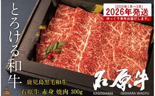 2472 s2026N1`3ɔzItE^gƂ낯ah̐Ό Ԑgē300g ( јa uh  r[t  v~A IKRb_  Mtg V 