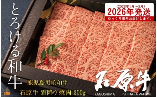 2473 s2026N1`3ɔzItE^gƂ낯ah̐Ό ~ē300g ( јa uh  r[t  v~A IKRb_  Mtg V