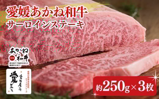 ya50NnƁzQ˘aT[CXe[Li250×3j | Y a  uh Xe[L ē ① Q O BBQ o[xL[QO50000