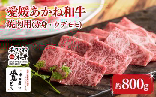 【昭和50年創業】愛媛あかね和牛 焼肉用 バーベキュー BBQ 赤身ウデモモ(約800g) | 国産 和牛 牛肉 ブランド牛 ステーキ 焼肉 冷蔵 愛媛県 松前町 松前町おすすめ愛媛県松前町40000肉牛肉