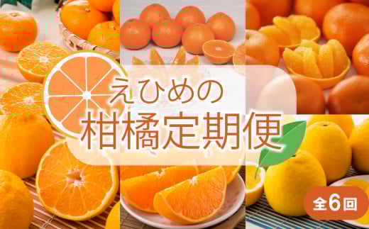 【2025年11月以降毎月発送】【定期便全6回】えひめかんきつ定期便 みかん 定期便 紅まどんな 伊予柑 いよかん デコポン 定期便 せとか 定期便 河内晩柑 国産 フルーツ 果物  定期便 オススメ