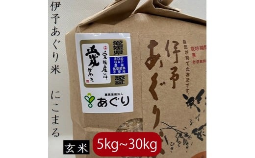 【選べるキロ数】米 玄米 5kg 伊予あぐり米「にこまる」 令和7年産 米 農薬・化学肥料不使用 米 玄米 令和7年産 米 お米 こめ 農薬・化学肥料不使用 こだわりのお米 愛媛県 松前町 松前 まさ