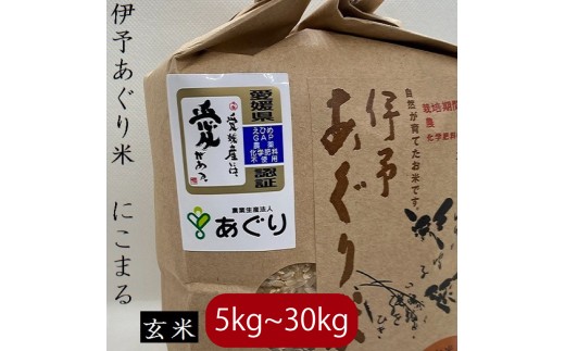 【選べるキロ数】米 玄米 10kg 伊予あぐり米「にこまる」 令和7年産 米 農薬・化学肥料不使用 米 玄米 令和7年産 米 お米 こめ 農薬・化学肥料不使用 こだわりのお米 愛媛県 松前町 松前 まさ