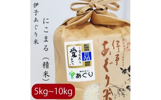 【選べるキロ数】米 精米 5kg 伊予あぐり米「にこまる」 令和7年産 米 農薬・化学肥料不使用 米 精米 令和7年産 米 お米 こめ 農薬・化学肥料不使用 こだわりのお米 愛媛県 松前町 松前 まさ