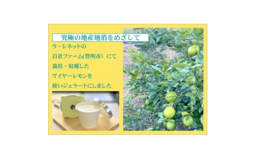݂͂V[xbg 90ml×8y1635822zmLs13000َqEXC[cACXEWF[g