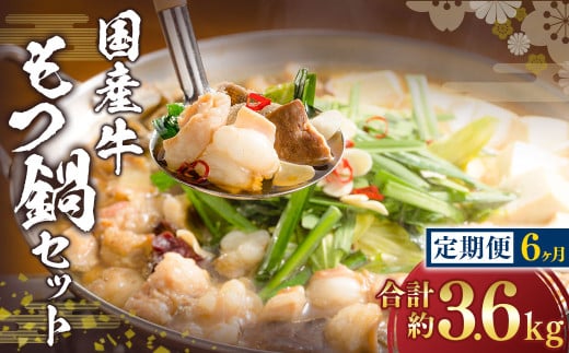 【6ヶ月定期便】国産牛 もつ鍋 セット (約600g×6回) 計約3.6kg / 6回定期便 6種の部位 小腸 ギアラ 盲腸 直腸 ハツ シマチョウ 醤油もつ鍋 モツ鍋 鍋 鍋セット モツ もつ 牛もつ 牛モツ ホル