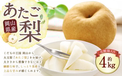 岡山県産 あたご梨 3〜6玉 (約4kg) 化粧箱入り 【2025年11月下旬〜12月下旬まで発送予定】 / なし 和梨 果物 果実 フルーツ 大玉 岡山県 美咲町 常温岡山県美咲町21000果物・フルーツりんご・