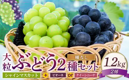 嗱 Ԃǂ 2 Zbg VC}XJbg 2[ v1.2kg y2025N10{`12{\z ^  VC}XJbg }XJbg  uhE 햳 ȂR璬18000ʕEt