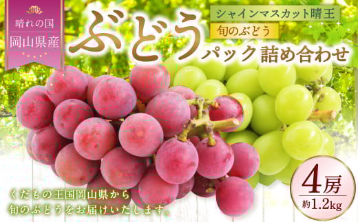 岡山県産 ぶどうパック詰合せ ※2種4パックセット ( シャインマスカット ・ 旬のぶどう ) 【2025年9月上旬〜11月下旬発送予定】 / ぶどう ブドウ 葡萄 種なし 種無し マスカット 晴王 はる