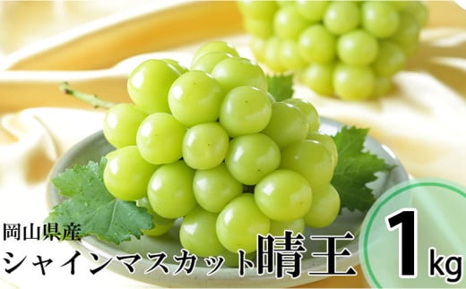 シャインマスカット 晴王 約500g×2房 (計約1kg) 【2025年8月下旬〜11月下旬迄発送】 / マスカット 葡萄 ぶどう 果物 果実 フルーツ 種なし 皮ごと 大粒 岡山県 美咲町 冷蔵岡山県美咲町21000果