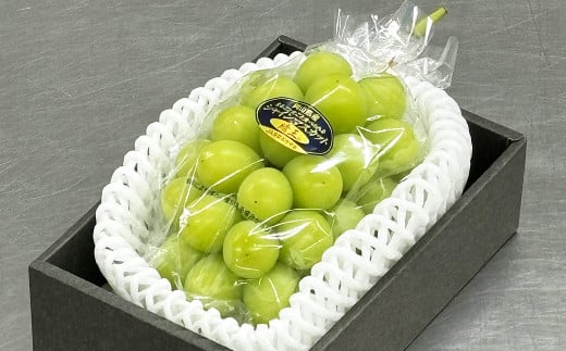 ƒp VC}XJbg  400g×1[ y2025N8{`11{z ^ }XJbg  Ԃǂ ʕ ʎ t[c Ȃ 炲 嗱 ƒp R 璬 ①R璬1