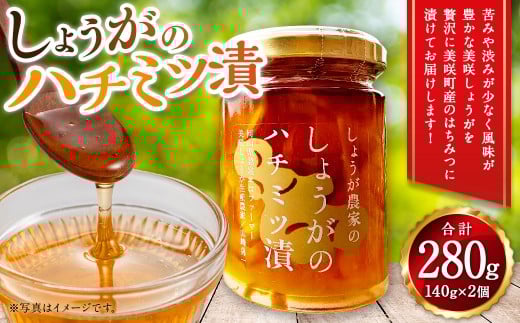 しょうがのはちみつ漬け 2個セット 140g×2 計280g / 生姜 しょうが ジンジャー 野菜 蜂蜜 はちみつ ハニー岡山県美咲町12000野菜・きのこその他 野菜