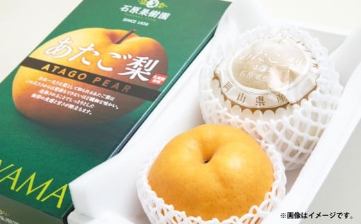  750g×2 v1.5kg ϔ ^   Ȃ iV ʕ  y2025N11{`12{\zR璬15000ʕEt[c񂲁E