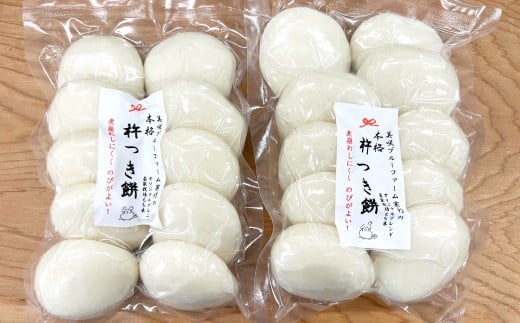 杵つき丸白餅 50g×10個入り 2袋 岡山県美咲町産 / 計約1kg 計20個 丸白餅  【6月-9月発送不可】岡山県美咲町9000米・パン玄米・雑穀米・もち米・餅