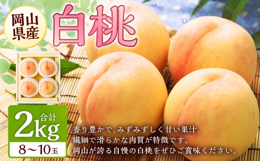R  8`10 iv2.0kgȏj y2026N7{`8{ \z     ʕ  t[c  蕨 Mtg YR璬26000ʕEt[cE