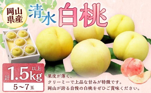 岡山 清水 白桃 5〜7玉 (合計1.5kg以上) 【2026年7月上旬〜7月下旬 発送予定】 白桃 桃 もも モモ 果物 くだもの フルーツ お取り寄せ 贈り物 ギフト 国産岡山県美咲町25000果物・フルーツもも