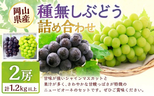 種無しぶどう 詰合せ 2房(合計1.2kg以上) 【2026年9月上旬〜10月上旬 発送予定】 シャイン マスカット ぶどう 葡萄 ブドウ 果物 くだもの フルーツ 詰め合わせ セット ギフト お取り寄せ 国産