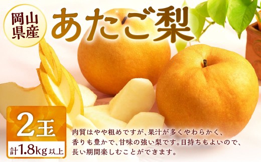 2026N s\  2 v1.8kgȏ R RY Ȃ ʕ t[c y2026N11{`12{ \z iV  Mtg  YR璬16000ʕEt