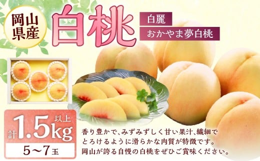 桃 2026年 先行予約 岡山 白桃 (品種:おかやま夢白桃/白麗) 5〜7玉 合計1.5kg以上 【2026年7月下旬〜8月上旬 発送予定】 もも モモ 岡山県産 国産 フルーツ 果物 環山堂 くだもの お取り寄せ